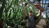 The global food fight