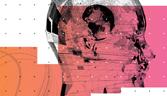the robotisation of